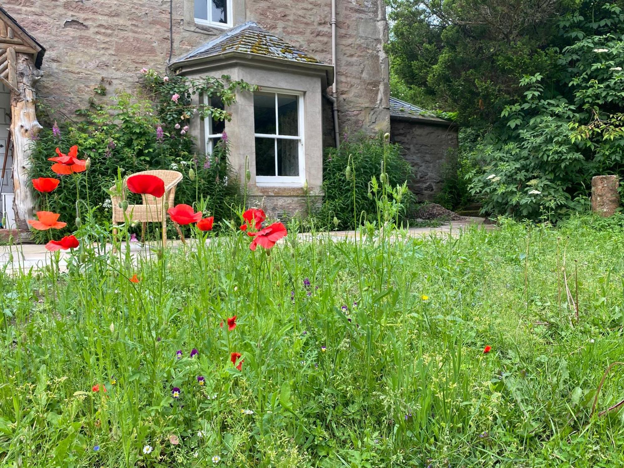 Bed and Breakfast Organic Welltree Saint Martins  Exterior foto
